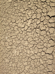 cracks in the ground