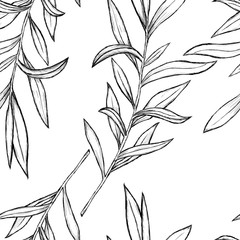 Obraz premium Sketch of flowers by hand on an isolated background