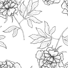 Sketch of flowers by hand on an isolated background
