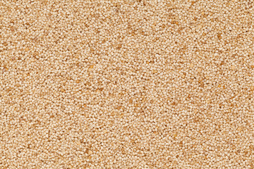 Organic White Poppy seed (Papaver somniferum) closeup background texture.