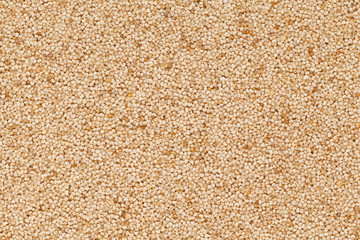 Organic White Poppy seed (Papaver somniferum) closeup background texture.