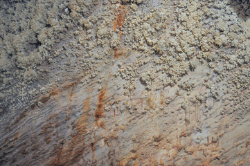 Toirano caves