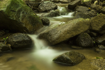Fototapeta premium Bachlauf