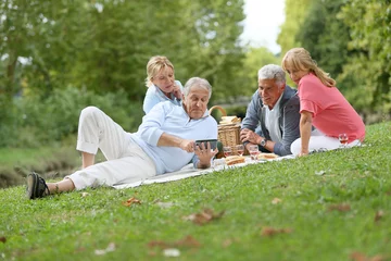 Foto auf Leinwand Group of senior people enjoying picnic on sunny day © goodluz