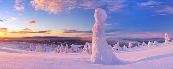 Sunset over frozen trees on a mountain, Levi, Finnish Lapland - obrazy, fototapety, plakaty