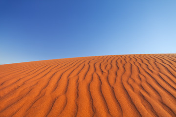 Red sand dune on a clear day, Northern Territory, Australia