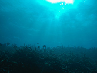Underwater view
