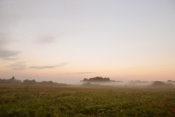 travel along the fog on the morning meadow
