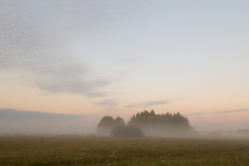 travel along the fog on the morning meadow