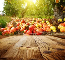 Fotobehang autumn apple orchard background © ZoomTeam