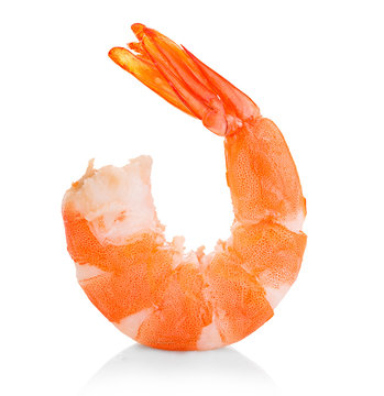 Tiger shrimp. Prawn isolated on a white background. Seafood