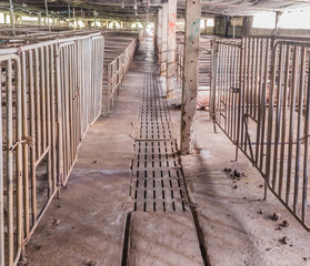 image of indoor dirty pig farm with paddock.