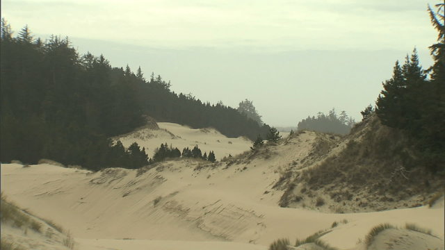 Oregon dunes high shot
