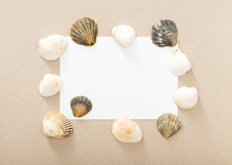Letter from the beach. Seashells