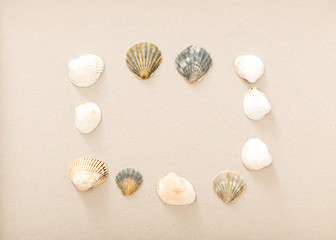 Letter from the beach. Seashells