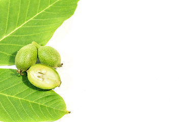 One green walnut cut with leaves and two whole walnuts on white
