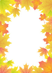 maple leaves frame