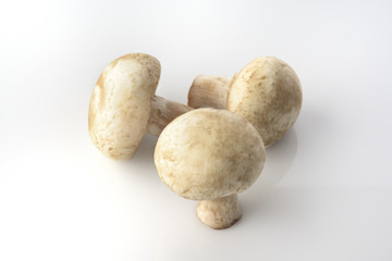 Three Button Mushrooms on White Background.