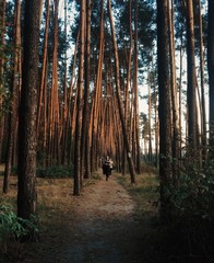 girls are gogging through the forest 