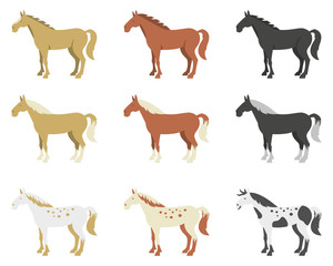 A set of horses of different breeds and color