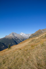 Obraz premium View To Mt Hochgall 3.436m From Mt. Seespitze In St. Jakob In Defereggental In East Tyrol Austria