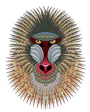 recommend clip art: Mandrill