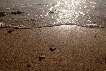 shiny sea shore