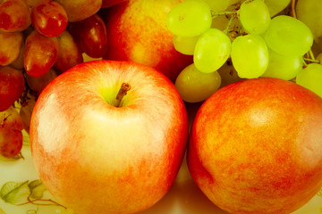 still life of fruits