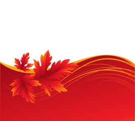 Autumn maple leaves background. Vector illustration