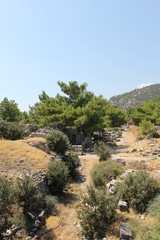 Fototapeta na wymiar Priene ruins of an ancient antique city in Turkey