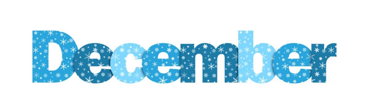 “DECEMBER” Vector Snowflake Letters Icon (blue)