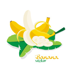Banana, fruit vector illustration