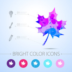 Vector maple leaf icon. with infographic elements 