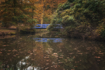 Bridge in autumn landscape