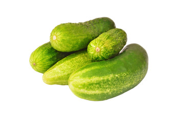 Fresh green cucumber gherkin, isolated on a white, DOF