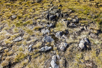 stone and grass northen Iceland landscape