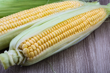 Sweet corn