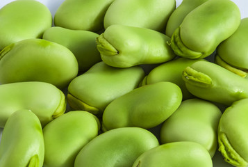 Broad bean green seeds lat. Visia faba. Fava bean field bean bell bean tic bean