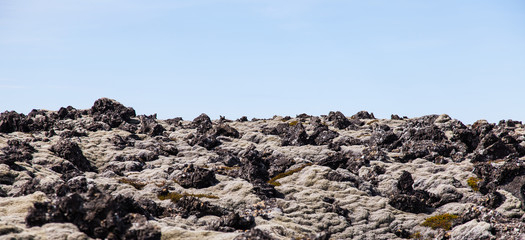 Moss covered lava field - Iceland