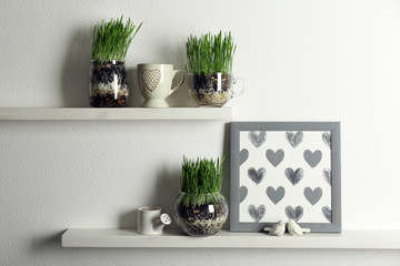 Fototapeta premium Transparent pots with fresh green grass on shelves