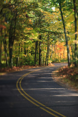 Road with Curve Through Autumn Forest in Wisconsin