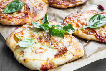 Mini Pizzas with Mozzarella, Cheese, Tomato Sauce and Fresh Basi