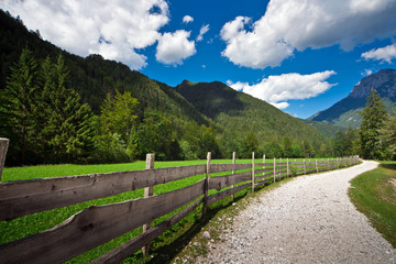 Fototapeta premium Pasture in Slovenian Alps and a dusty road