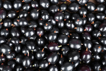 Heap of wild black currant close up