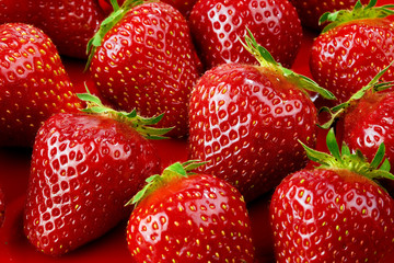 Strawberry harvest