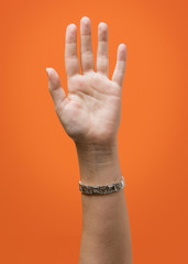  Raised Female Hand Isolated on Orange