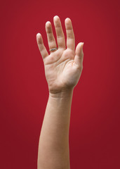  Raised Female Hand Wearing Ring Isolated on Red