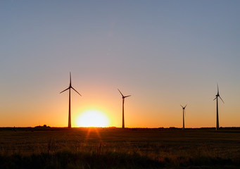 Obraz premium Wind power plant during sunset time. Lithuania.