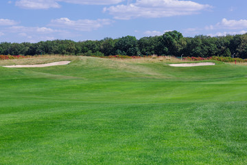 Fototapeta na wymiar Perfect wavy green ground on a golf course