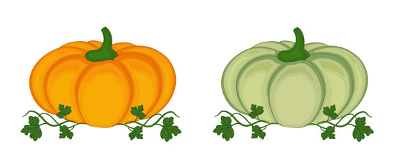 Two pumpkins with leaves